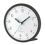 Wetterladen TFA Dostmann 60.1506 Lautloser Analoger Funkwecker mit Sweep-Uhrwerk