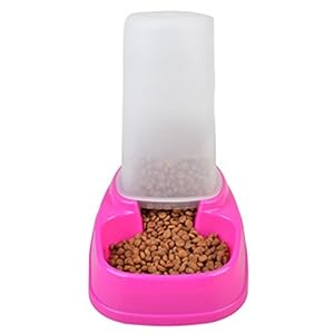 CDKJ Dispensadores automáticos de Comida para Perro nourisseur de Comida y de Agua para Perro Gato Animales de Compañía