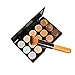 LIFECART 15 Color Professional Concealer Camouflage Foundation Makeup Palette Set With Brush