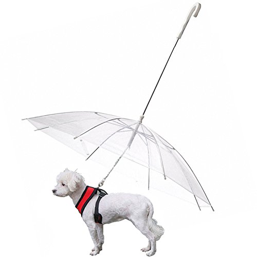 Preisvergleich Produktbild OMEM Hunde-Regenschirm mit Leine, regendicht, Durchmesser 77 cm