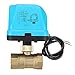 Produktbild Fash Lady TMOK 1/2" 3/4" 1" 1-1/4" Blau Shell Motorisierte Elektrische Messing Kugelhahn 3 Draht AC 220 V Full Port