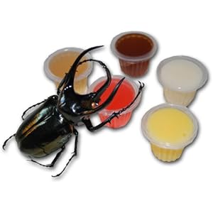 ProfiPet Insectfood Jelly, 25 x 16g, Vitaminjelly mix., Fruchtjelly mix.