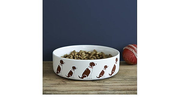 springer spaniel bowls