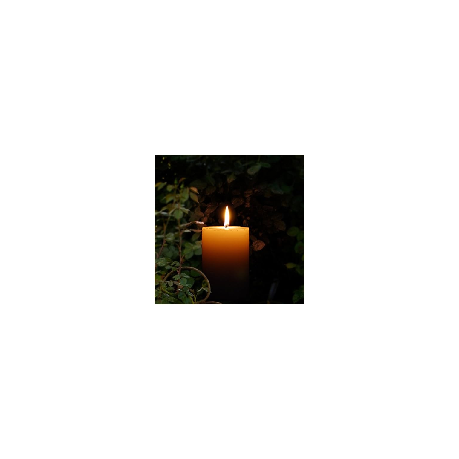 2 x The Buzz Citronella Pillar Candle (38 Hours Burn Time for Outdoor