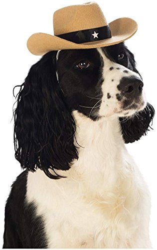 Animal-Pet-Dog-Cat-Cowboy-Hat-Wild-West-Fancy-Dress-Costume-Outfit