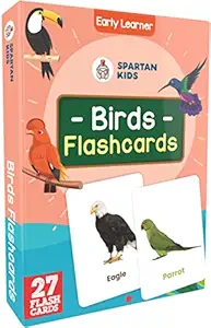 Bird Flash Cards | 27 Early Learning Flash Cards for Kids