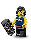 Cada minifigura se vende con uno o más accesorios, una placa de exposición y un folleto de coleccionista.Incluye 2 versiones de Lloyd, 3 versiones de Garmadon y las nuevas versiones de Nya y de Kai.