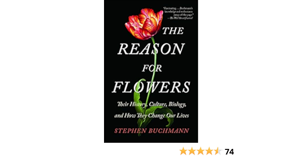 The Reason For Flowers Their History Culture Biology And How They Change Our Lives Buchmann Stephen Amazon De Bucher