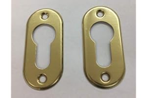 EFFEDIELLE BORCHIA OVALE PER CILINDRI A PROFILO EUROPEO. COLORE OTTONE LUCIDO VERNICIATO PER CILINDRO EUROPEO FORO YALE.AGB C00640.MISURE mm.60x28mm.PEZZI 2