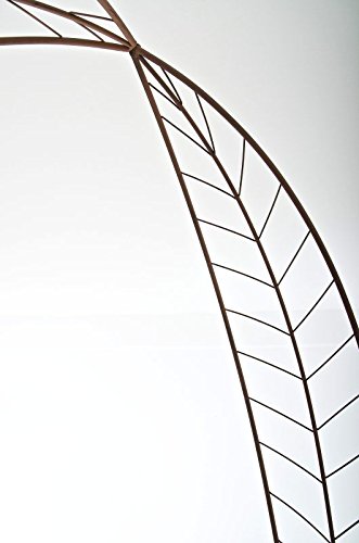 CLP Rosenbogen ELLEN, Metall, pulverbeschichtet, Höhe 245 cm, Größe 160 cm x 35 cm antik braun - 6