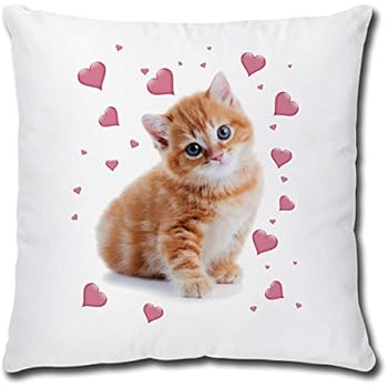 Triosk Kissen Mit Katzenmotiv Lustig Katze Rosa Herzen Dekokissen Geschenk Für Katzenliebhaber Frauen Mädchen Kinder Zierkissen Füllung 40x40 Weiß