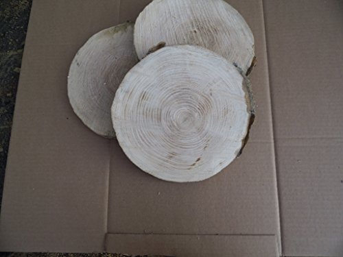 10 Baumscheiben, Holzscheiben,Baumscheibe, ca. 20-25 cm, Astscheiben, Eiche