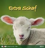 Extra Schaf 2013 by