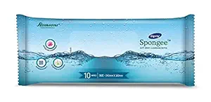 DIGNITY Spongee Wet Body Wipe for Adults (240 x 300 mm, 10 Wipes)
