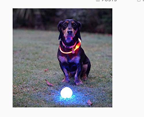 Usb light up dog ball Clearance