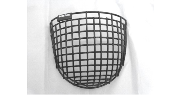 head protector arnis