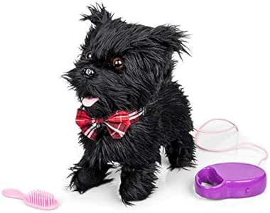 tobar walking westie