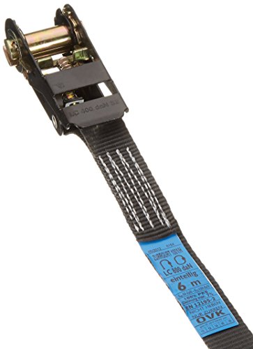 Befestigungsriemen-Set Expanderset Zurrgurte Ösen - 2