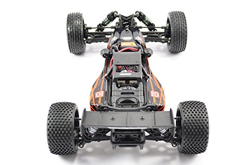 FTX Surge 1/12 Brushed Buggy Ready-To-Run (Orange/Black)