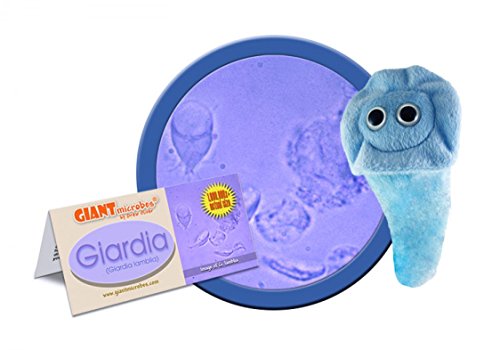Giant Microbes - Giardia (Giardia lamblia) Educational Plush Toy by Giant Microbes