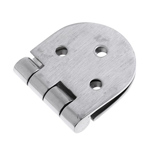KESOTO Bisagra de Puerta de Correa Rasante de Acero Inoxidable 316 para