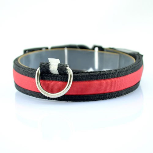 DOG-COLLAR-pet-LED-light-up-flashing-luminous-night-safety-coloured-bright-VARIOUS-COLOURS-AVAILBLE-UK-SELLER