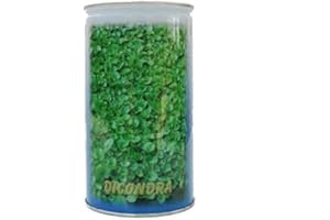 Prato Dichondra Repens 50% Barattolo da 453gr. Sgaravatti