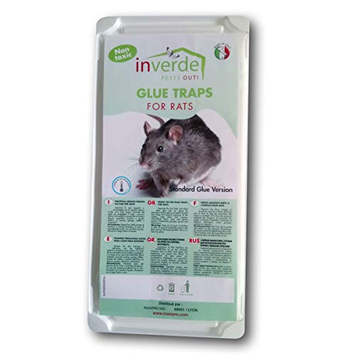 NUISIPRO 1 lot = 2 plaques Plastique de glu Anti Rat et Anti Souris