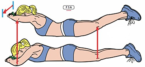 Isokinator Lady, mobiles Fitnessgerät für Figur-Formung bis zum Bikini-Körper - 2