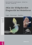 Atlas der Bildgebenden Diagnostik bei Heimtieren: Vögel - Kleinsäuger - Reptilien