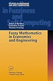 Image de Fuzzy Mathematics in Economics and Engineering