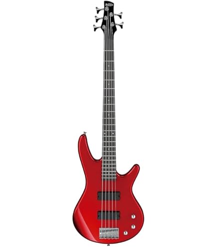 Ibanez Bass Guitar SR Gio series 5 string GSR205SM-NGT : Amazon.in