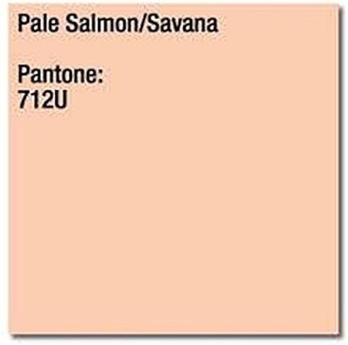 IMAGE COLORACTION PALE SALMON (SAVANA) A4 210X297MM 80GM2 FSC4 x 500