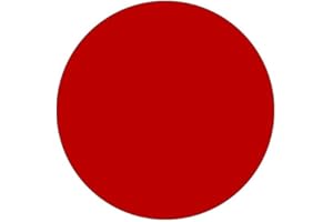 BÜTIC GMBH Plexiglas® Zuschnitte - Scheiben - Acrylglas 3mm glänzend mit Schutzfolie, Farbe:Rot, Größe:ScheibenØ 17cm