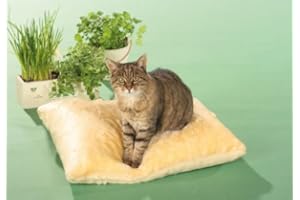 CLEVERCAT Thermokissen beige, das Pflegeleichte rundum Wohlfühlkissen Made in Germany