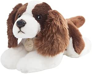 toy springer spaniel