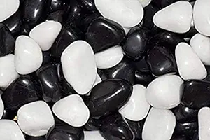 Ohhsome [500Gm] Polished White & Black Mix Stone Pebbles Pebbles/Gravels/Stone Pebbles For?Bottle & All Purpose Pack