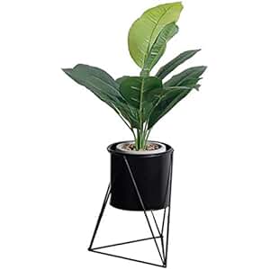 Suchergebnis auf Amazon.de für: blumenständer modern: Garten