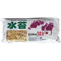 Mousse De Sphaigne Sèche 200g - Substrat Naturel Pour Orchidées, Terrariums, Décoration Plantes