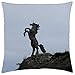 Produktbild ruishandianqi Kissenbezüge Emblem of Kerry Irland - Throw Pillow Cover Case (18 * 18" x 18")