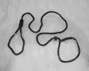 Hamilton Pet Company - Polyrope London Qck Lead Combo- Green-tan .31 X 6 - LQLB GN