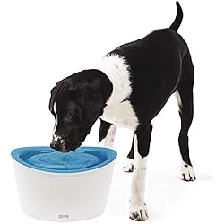 Dogit Fontaine à Chien 6 L