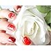 Tiffany Nail Art Rhinestone Pack-1200 Premium Quality Gemstones