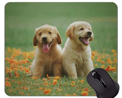 Preisvergleich Produktbild Mousemat Mauspads, Tiergenähte Kanten