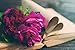 Produktbild Osmykqe Red Peonies - Art Print Poster,Wall Decor,Home Decor(20x16inches)