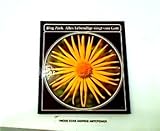 Cover zum Buch Alles Lebendige singt von Gott