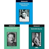 Sabahattin Ali 3 Book Set: Madonna in Fur Coat, Yusuf from Kuyucak, The Devil Within Us