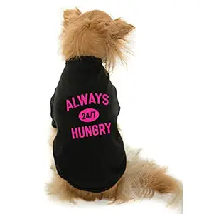 The Tee Shop Pet Clothing Collection Cool Funny Quote Printed Always Hungry on Pet Dog Cat Comfortable T-Shirt (XXL, Black)