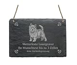 Schiefertafel Mit Jack Russell Motiv & Spruch – Dekoratives Schild Für Garten, Haus Oder Als Geschenk