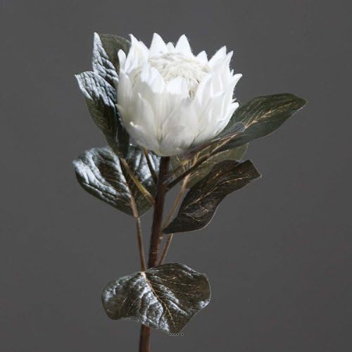Artificielles Artificial Flower Exotic Protea Cream 68 cm h Lovely Big Head-Choose Your Colour: Cream